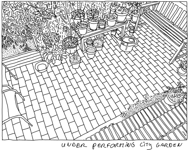 An under performing city garden...