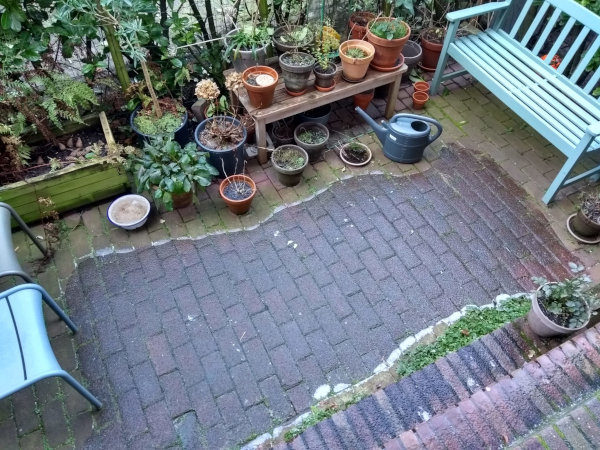 An under performing city garden...